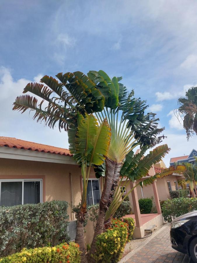 Caribbean Beach Resort Blenchi Curacao Willemstad Exterior foto