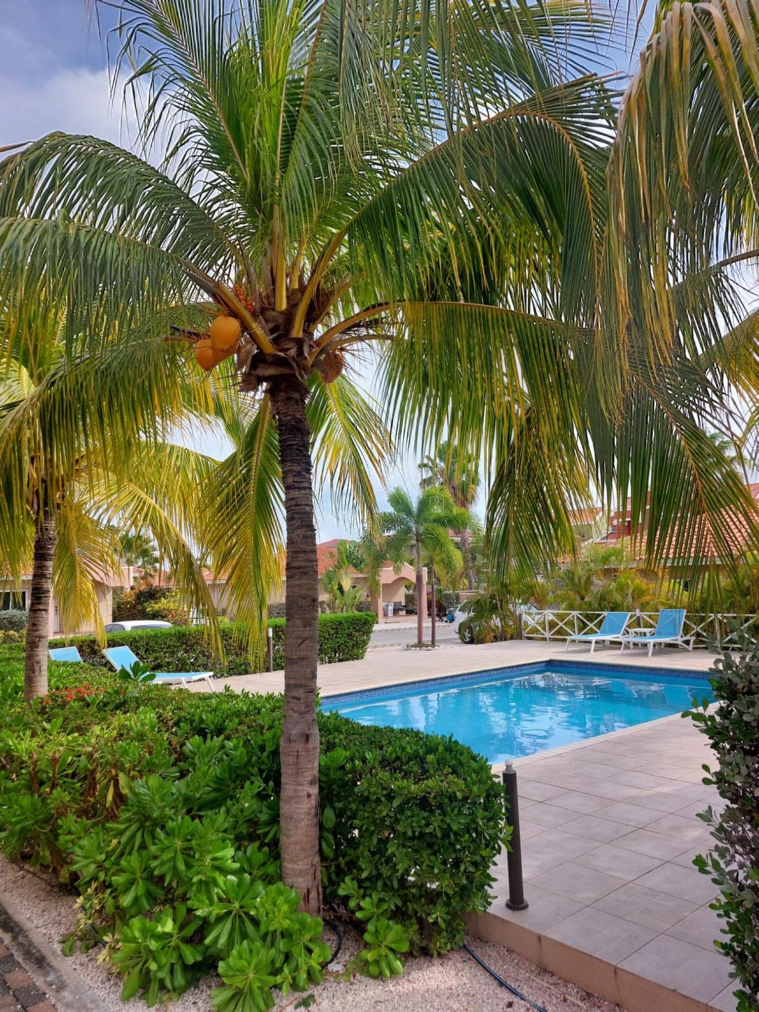 Caribbean Beach Resort Blenchi Curacao Willemstad Exterior foto