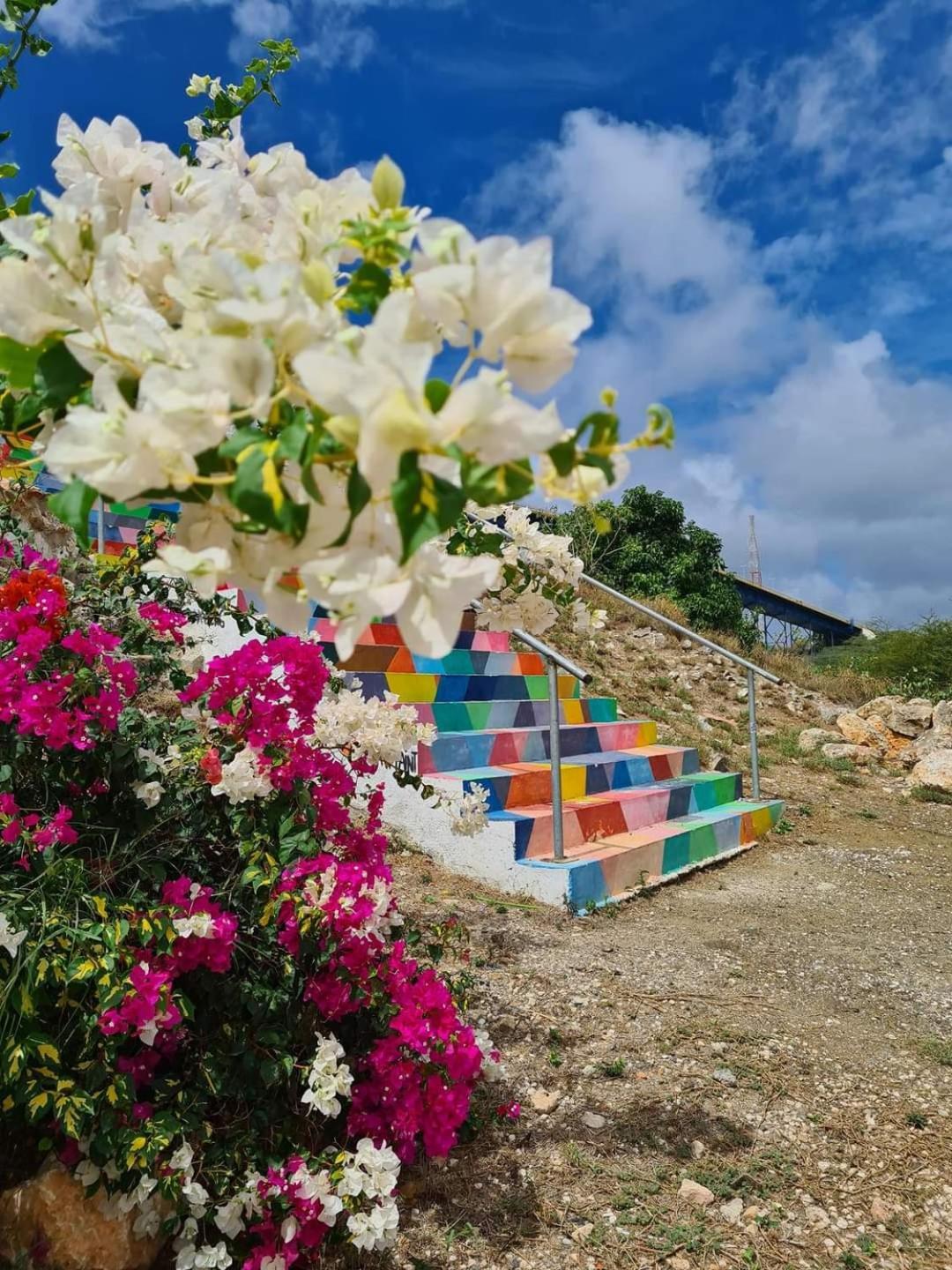 Caribbean Beach Resort Blenchi Curacao Willemstad Exterior foto